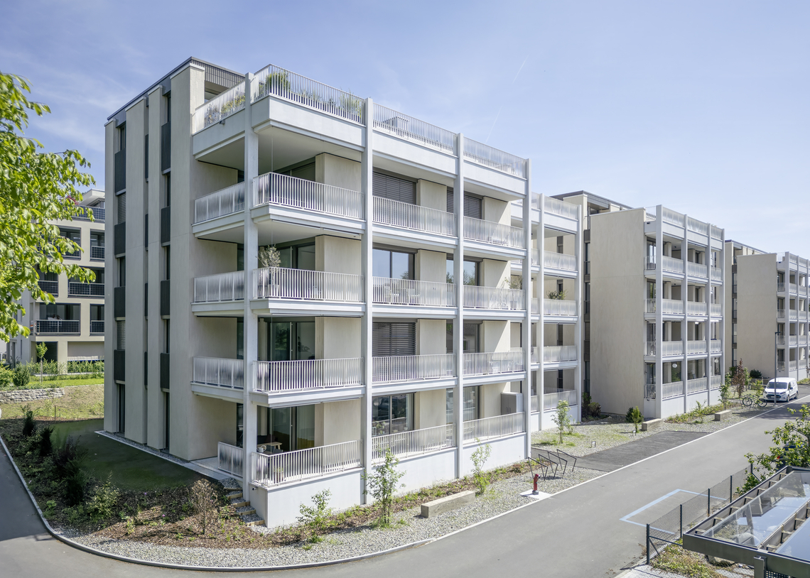 1-DJI_0040_wettingen_TS_w